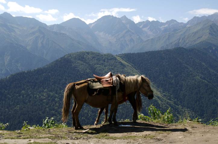 qualcuno forse potrebbe progettare solo mulattiere, altri .......