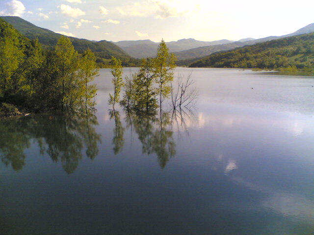 Foto vezzolacca (228)