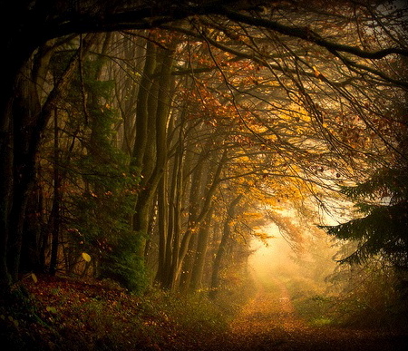 flickr archive per valtolla IMG_1018_2