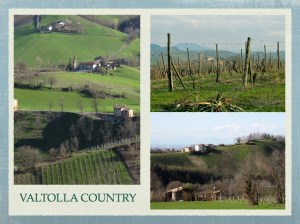 clicca sulla foto per ingrandire