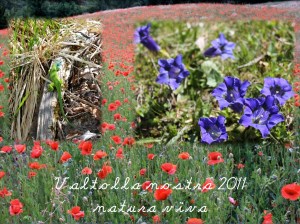 valtolla nostra natura 1.001