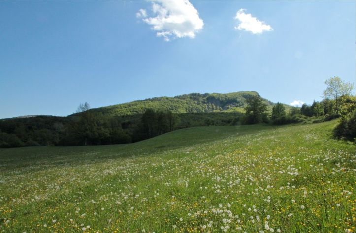 quest' opera d'arte divina è di tutti noi! (clic per ingrandire)