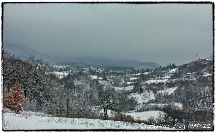 IMG_0245 _Snapseed-2