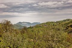 Monte Giogo (lugagnano) visto da Mignano IMG_1058 