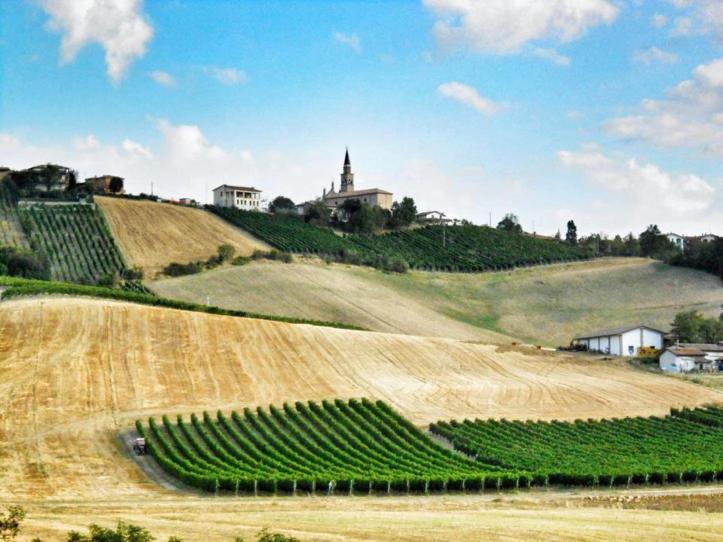 bacedasco alto di remo schiavi FB
