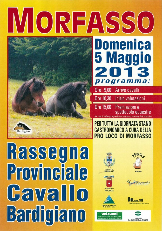 morfasso festa cavalli 13