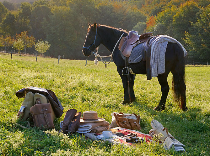le-cheval-de-merens-a