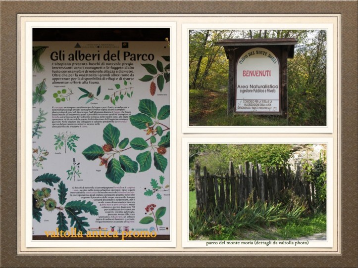 parco-provinciale-1-001