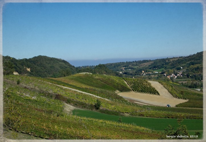 IMG_7525 copia flare copia