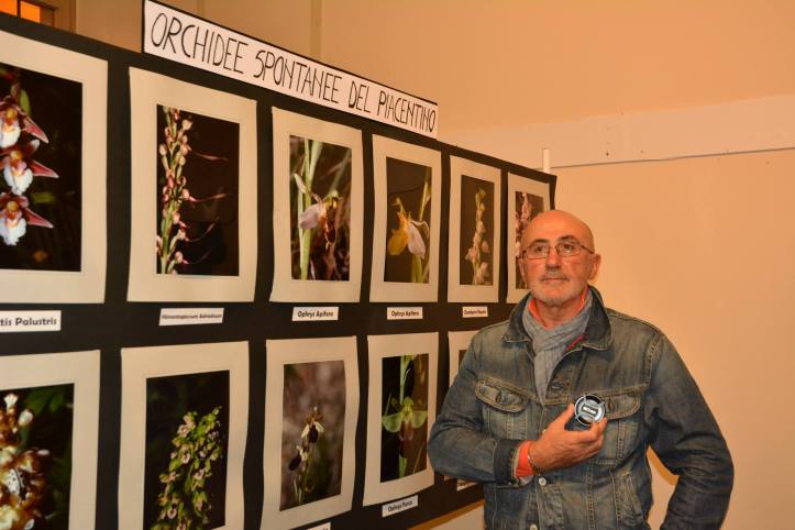 fiera fredda lugagnano Remo Schiavi espone le sue orchidee