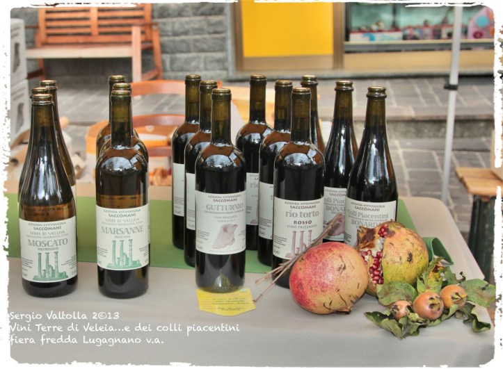 fiera fredda lugagnano 