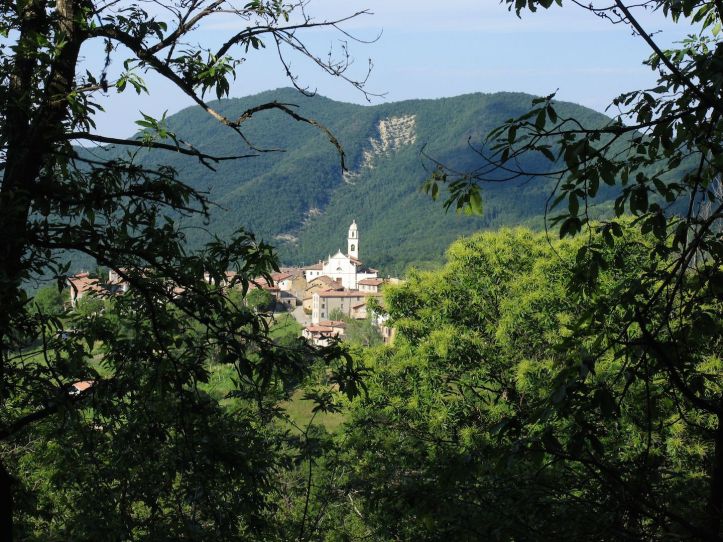 vezzolacca vista dai suoi castagneti ( foto iPhone di sergio valtolla)