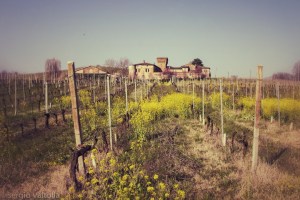 2014-03-valchiavenna 1-3_LR copia