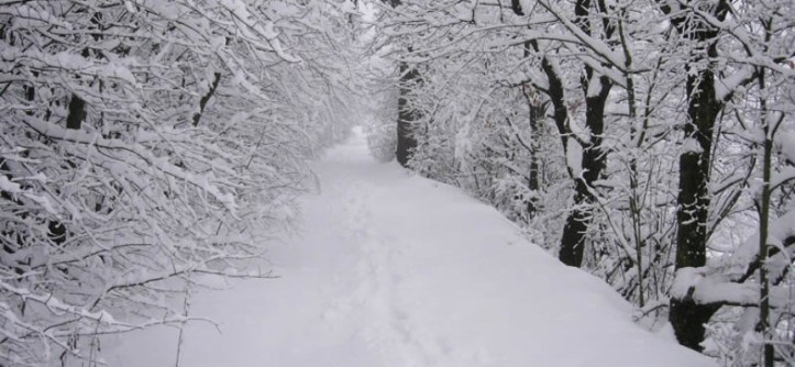 20091215110323-c874eb77-864x400_c