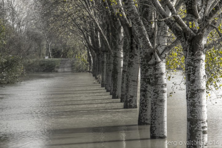 2014-11-19- ongina e la bassa -LR -1785_tonemapped 1