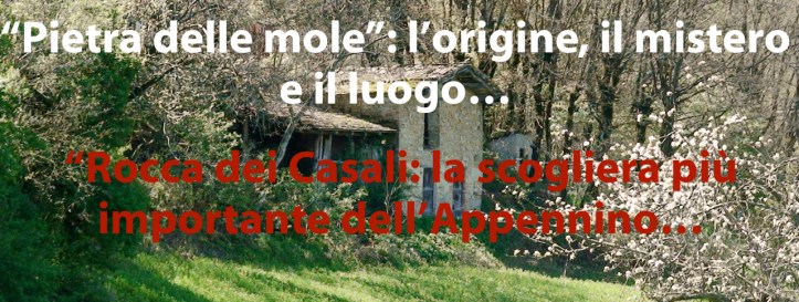 immagine testata blog DSC00179.JPG