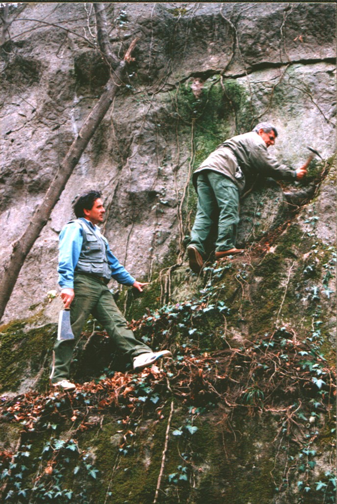 pulizia pietra delle mole