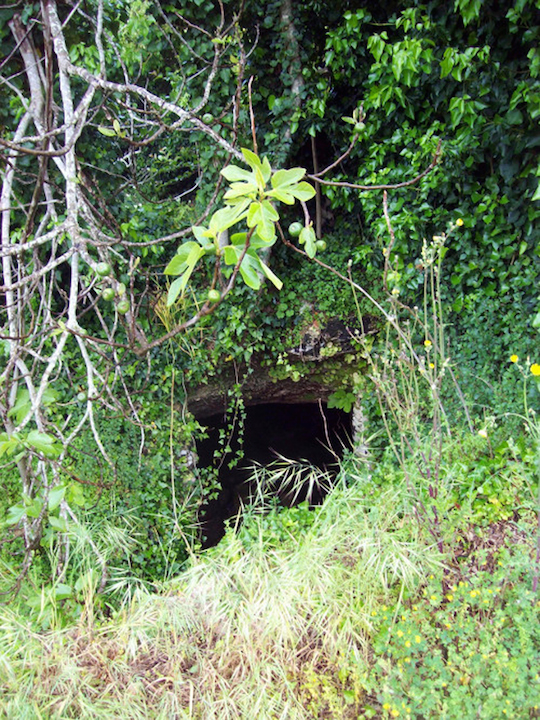 ingresso galleria miniera rigollo bdv