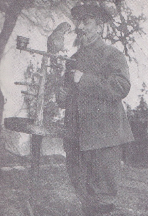 illica nel 1917 al colombarone 4