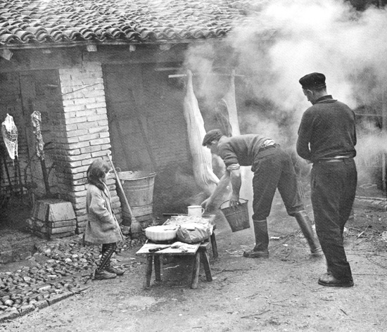 immagine ADL dal web