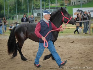 2015-05-03-cavalli a morfasso LR-3453