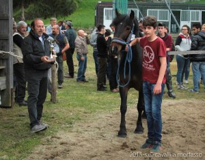 2015-05-03-cavalli a morfasso LR-3537