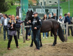 2015-05-03-cavalli a morfasso LR-3546