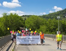 2015-05-24-no carbonext web 1 LR-3764