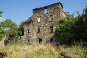 2015-07-02-chinosi predalbora web LR-8176