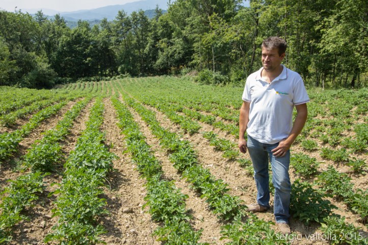 2015-07-02-chinosi predalbora web LR-8259