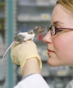 topo corbis_42-15475579