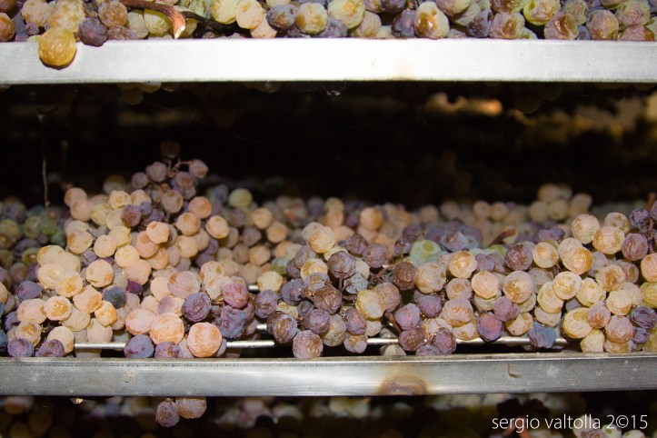 2015-10-il cibo- bacedasco e vigoleno 1-9513