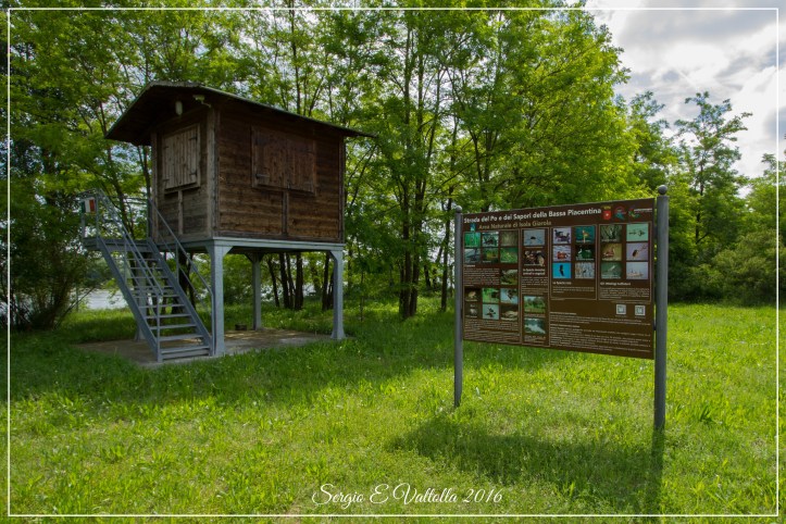 2016-05-16 lancone e giarola (no)-0507_Fotor