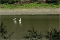 2016-05-16 lancone e giarola (no)-2499_Fotor