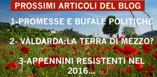 2016-05-07-papaveri a castello 2 bis-0355 copia.jpg