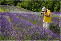 2016-07-12- lavanda-3963_Fotor