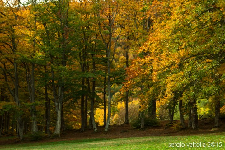 2015-10-santa-franca-8976