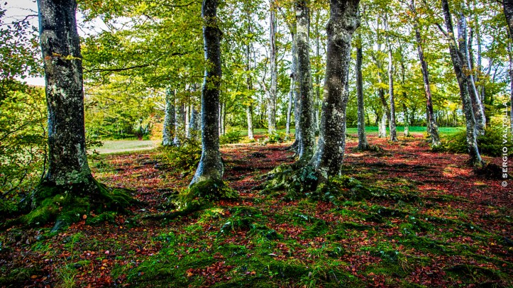 2016-10-15-santa-franca1-12016-10-15-santa-franca-1524-modifica