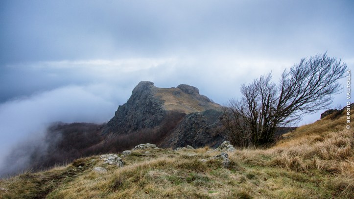 2016-11-11-menegosa-1img_1665-modifica