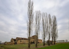 2017-01-12-francigena-fiorenzuola-fidenza-1dm4b2639