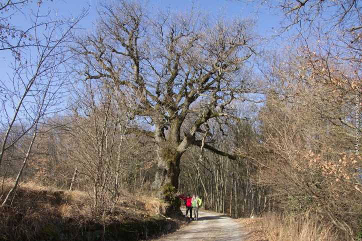 2017-02-12-valriglio-con-angelo-6img_2951-copia