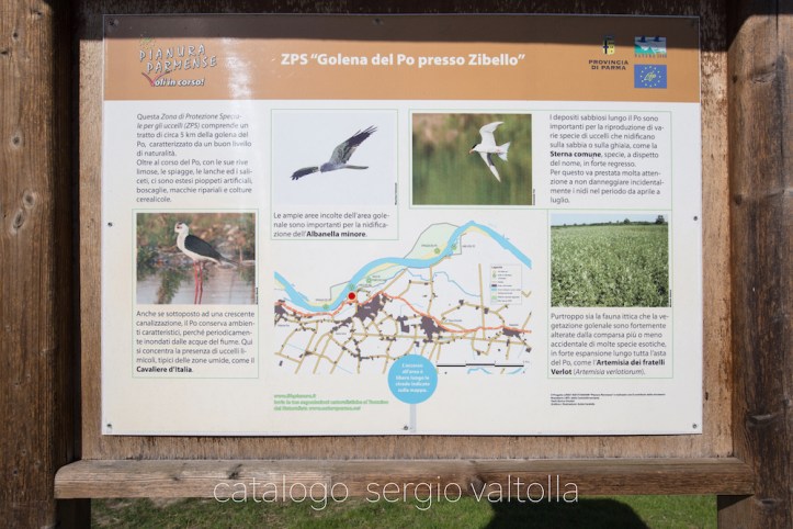 2017-03-10-polesine con angelo -1DM4B3532