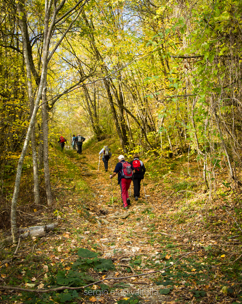 2017-10-28-morfasso la penna-1IMG_5403