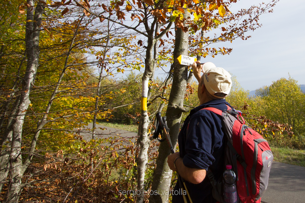 2017-10-28-morfasso la penna -1IMG_5428