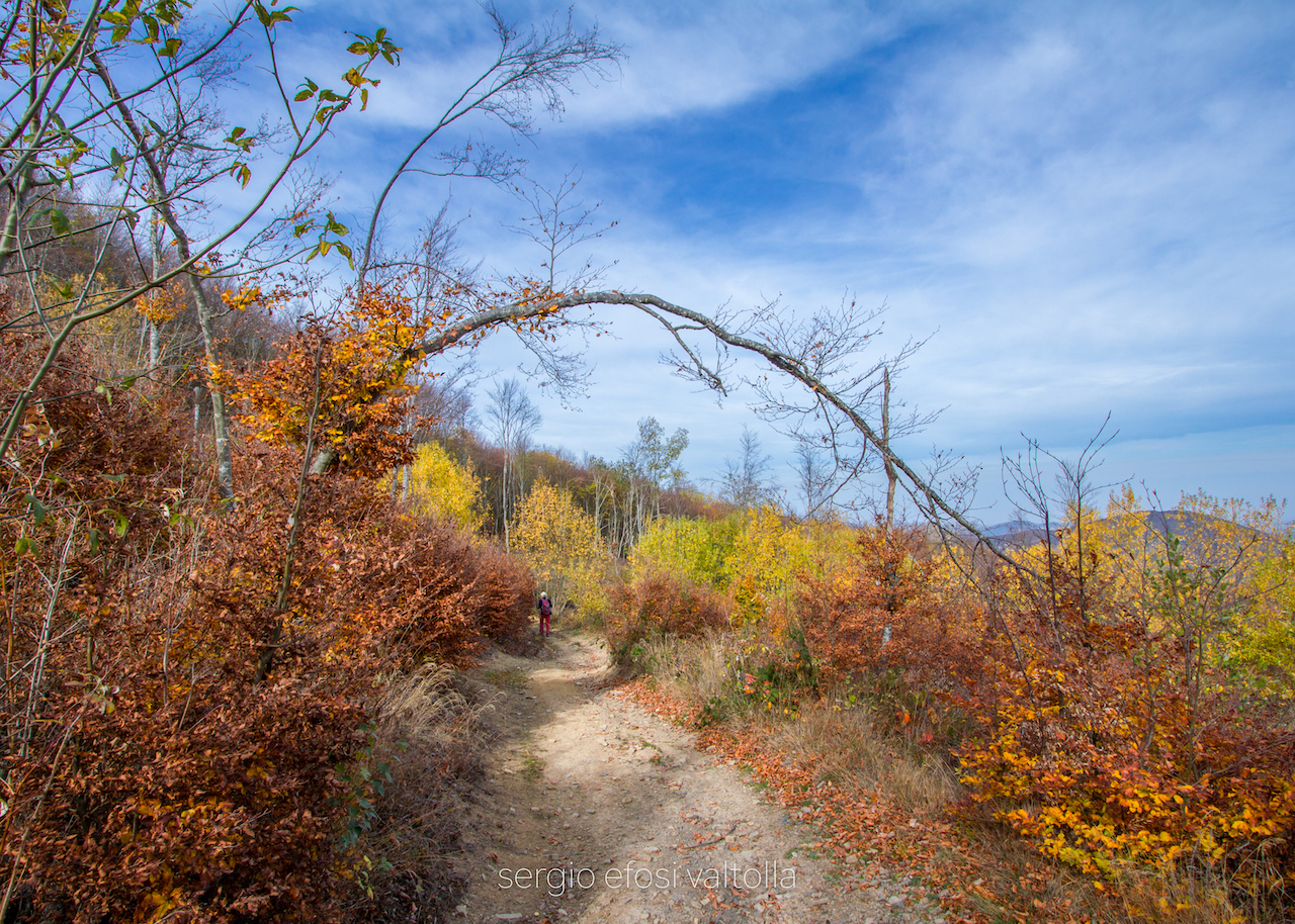 2017-10-28-morfasso la penna-1IMG_5438-HDR