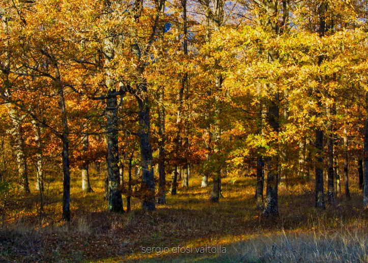 2017-11-18-anello della polenta -2IMG_5949_HDR