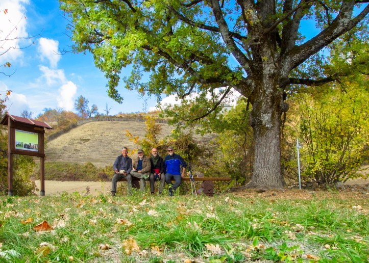 2017-11-01-TOLLARA OLZA 31-10-1IMG_5559-Modifica