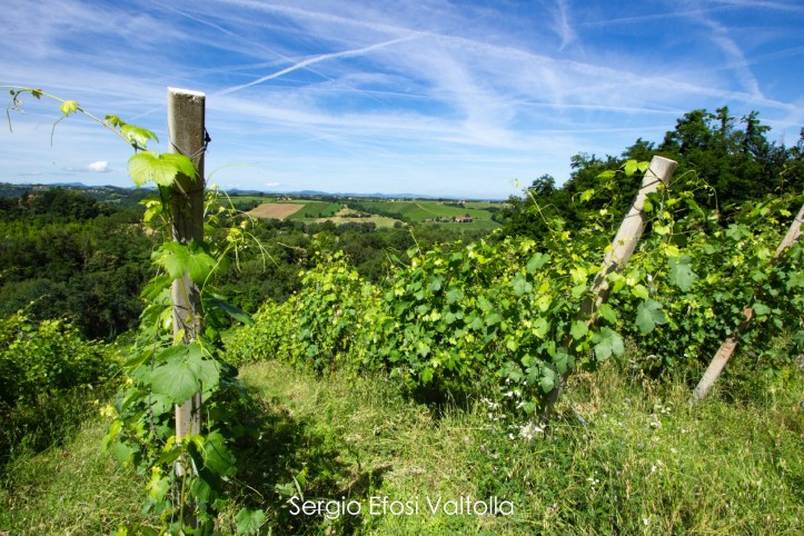 gir dal muron-IMG_1246_Fotor copia