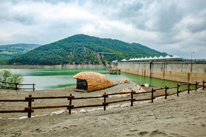 2018-07-balena -1DM4B7003