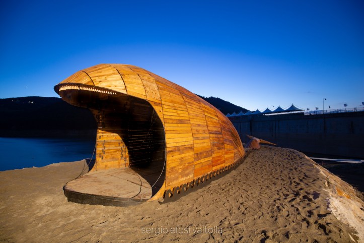 2018-07-balena-1DM4B7509-Modifica